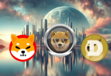 DOGEN Altcoin Investment