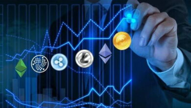 Beginner's Guide to Stock and Crypto Trading