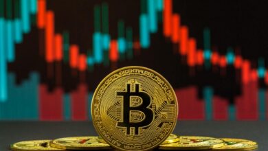 Bitcoin 2024 Annual Review