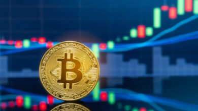 Bitcoin Market Challenges in 2025