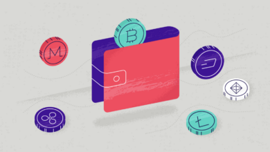 Cryptocurrency Wallet Selection and Setup