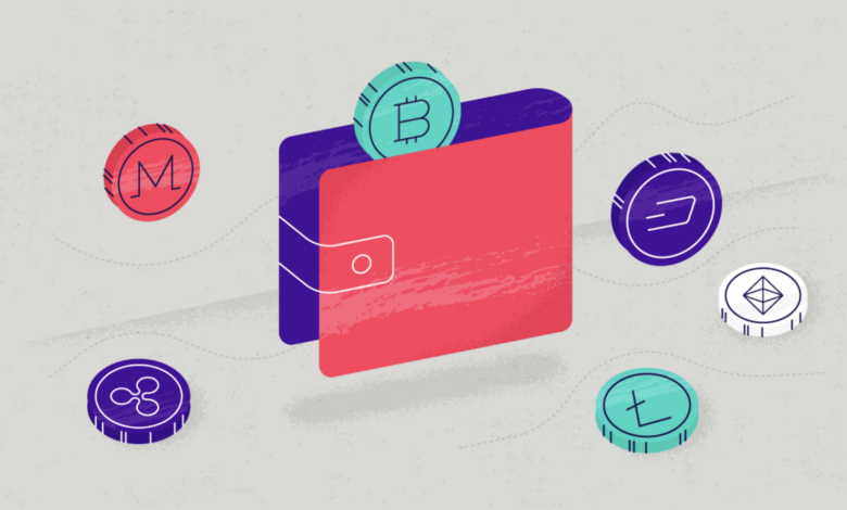 Cryptocurrency Wallet Selection and Setup