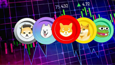 Technologies and Meme Coins
