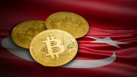 Turkey's Crypto Market
